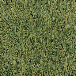 ROYAL PORTRUSH GRASS 45MM £ 15.99 SQ M