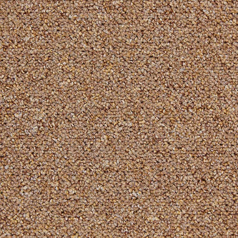 Fortress Carpet Tiles TAN 111 Price £ 5.99 Per Tile